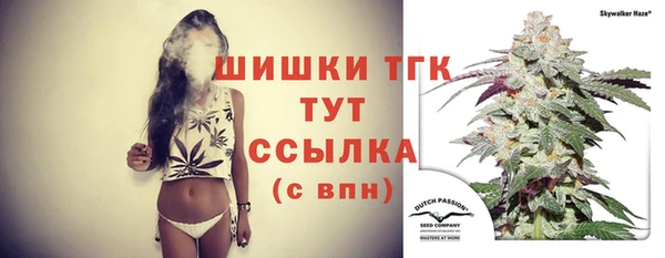 прущие крисы Абаза