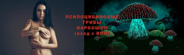 стаф Михайловск