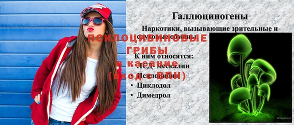 прущие крисы Абаза