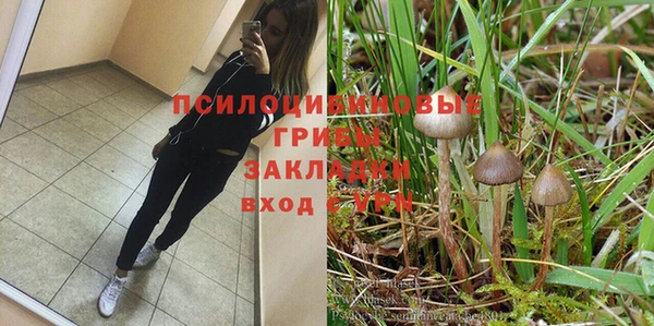 дурь Абинск