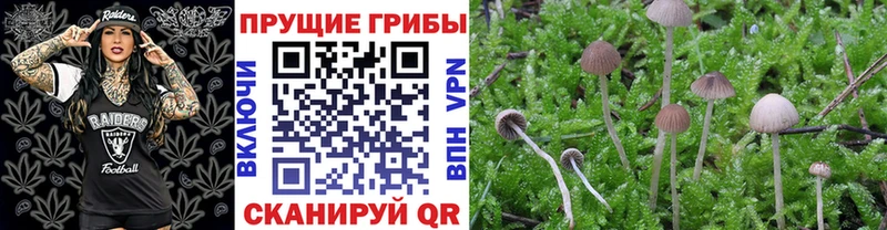 Галлюциногенные грибы прущие грибы  Ильский 