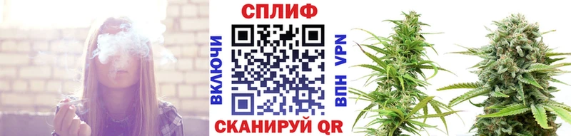 наркотики  Ильский  Канабис ГИДРОПОН 